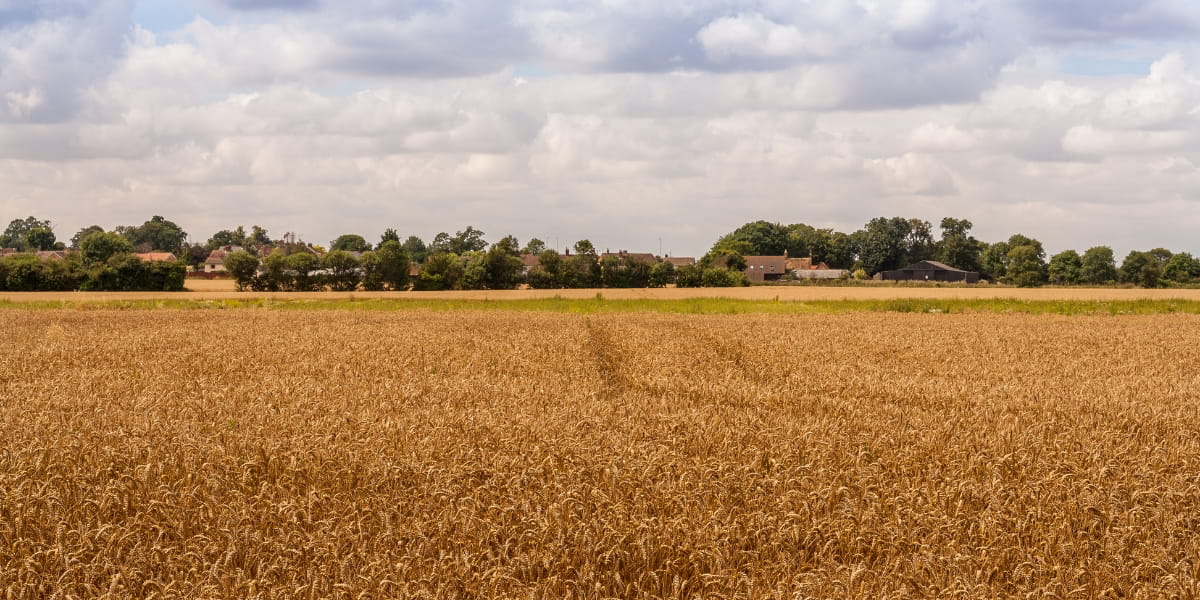 10 of the Best Walks in Suffolk | Coastal, Countryside and Woodland Trails