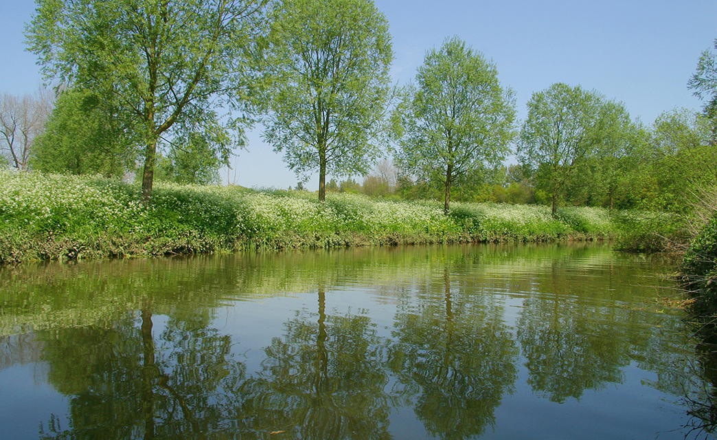 Dedham Vale Boat Trips