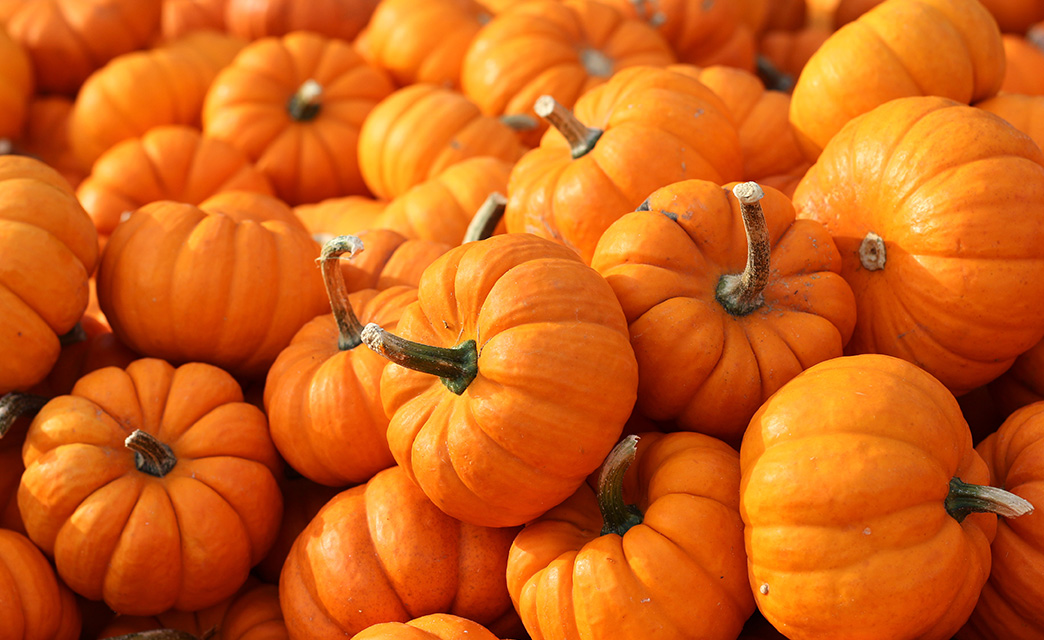 Halloween Events in Suffolk