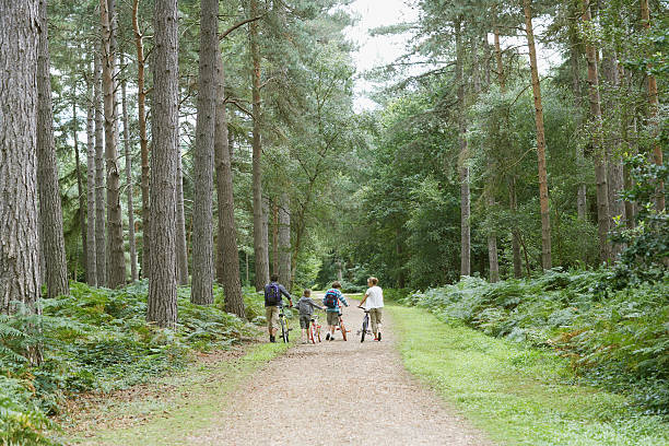 Rendlesham Forest