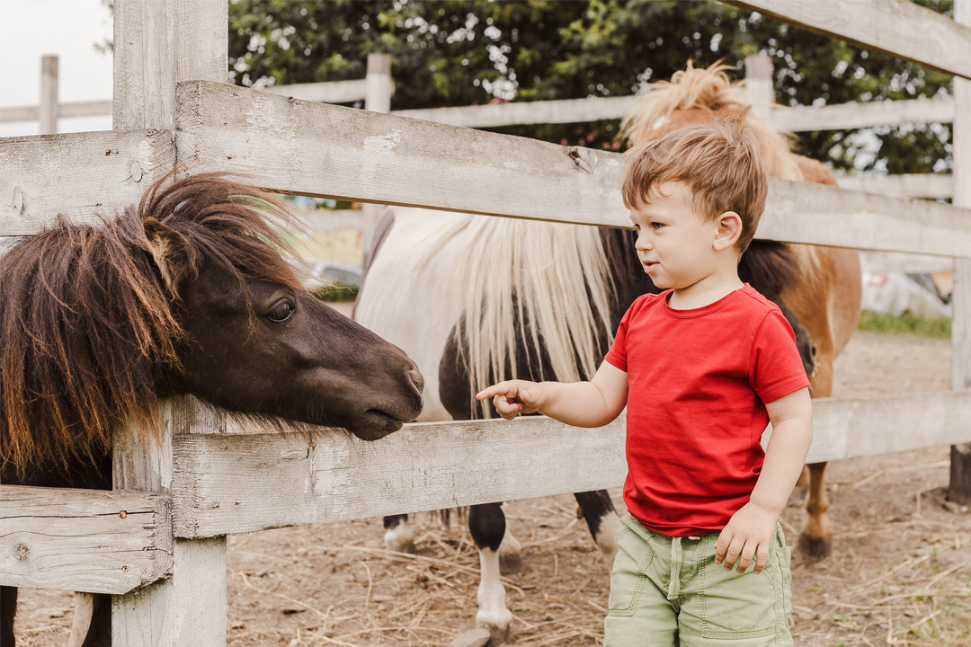 Easton Farm Park